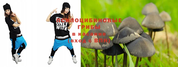 а пвп мука Аркадак